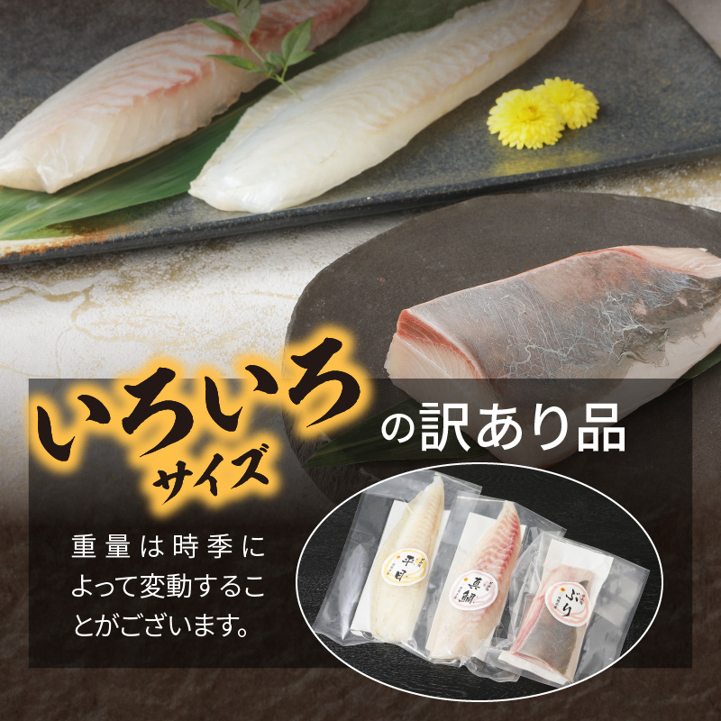 〈数量限定・訳あり〉日向灘活〆ロインお刺身3種の食べ比べ〈其の壱〉　計470g以上　B059