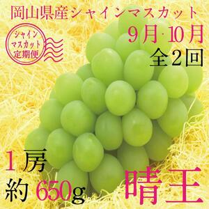 [HS]【定期便 全2回】ぶどう 2026年 先行予約 9月・10月発送 シャイン マスカット 晴王 1房 約650g ブドウ 葡萄  岡山県産 国産 フルーツ 果物 ギフト