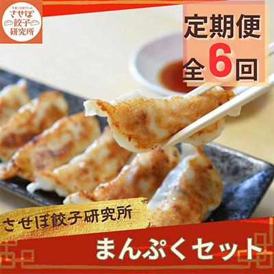 ふるさと納税 佐世保市 【発送月固定定期便】させぼ餃子研究所 させぼ餃子まんぷくセット全6回