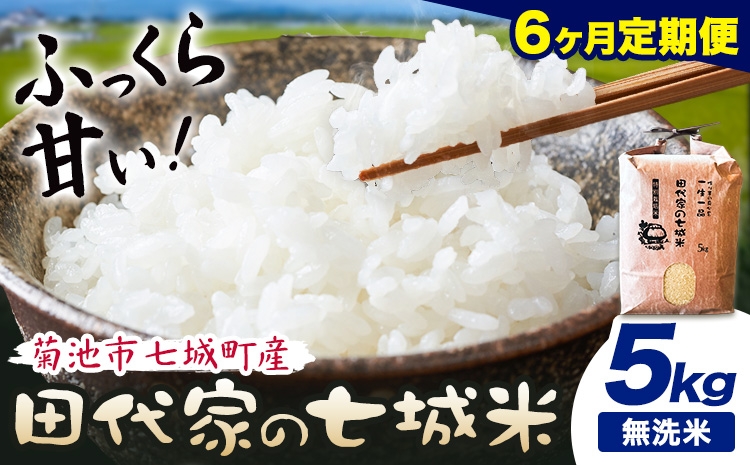 
                  【6ヶ月定期便 】令和7年産 菊池市七城町産 田代家の七城米 七城ヒノヒカリ 無洗米 5kg 田代こめや《お申込み翌月から出荷》熊本県 菊池市 米 お米 精米 ひのひかり 菊池市産 熊本県産 九州産 送料無料
                