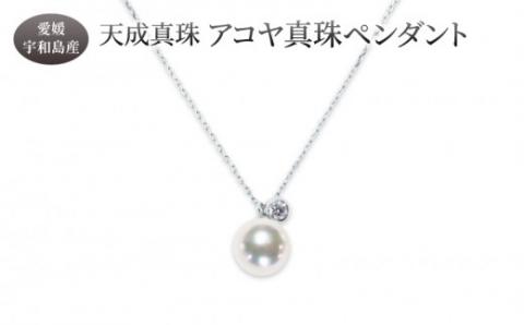 アコヤ真珠 ペンダント 8.0mm 天成真珠 アクセサリー ファッション 真珠 パール ダイヤモンド 宝石 高級 プレゼント 贈り物 贈答品 特産品 国産 愛媛 宇和島 A280-114013