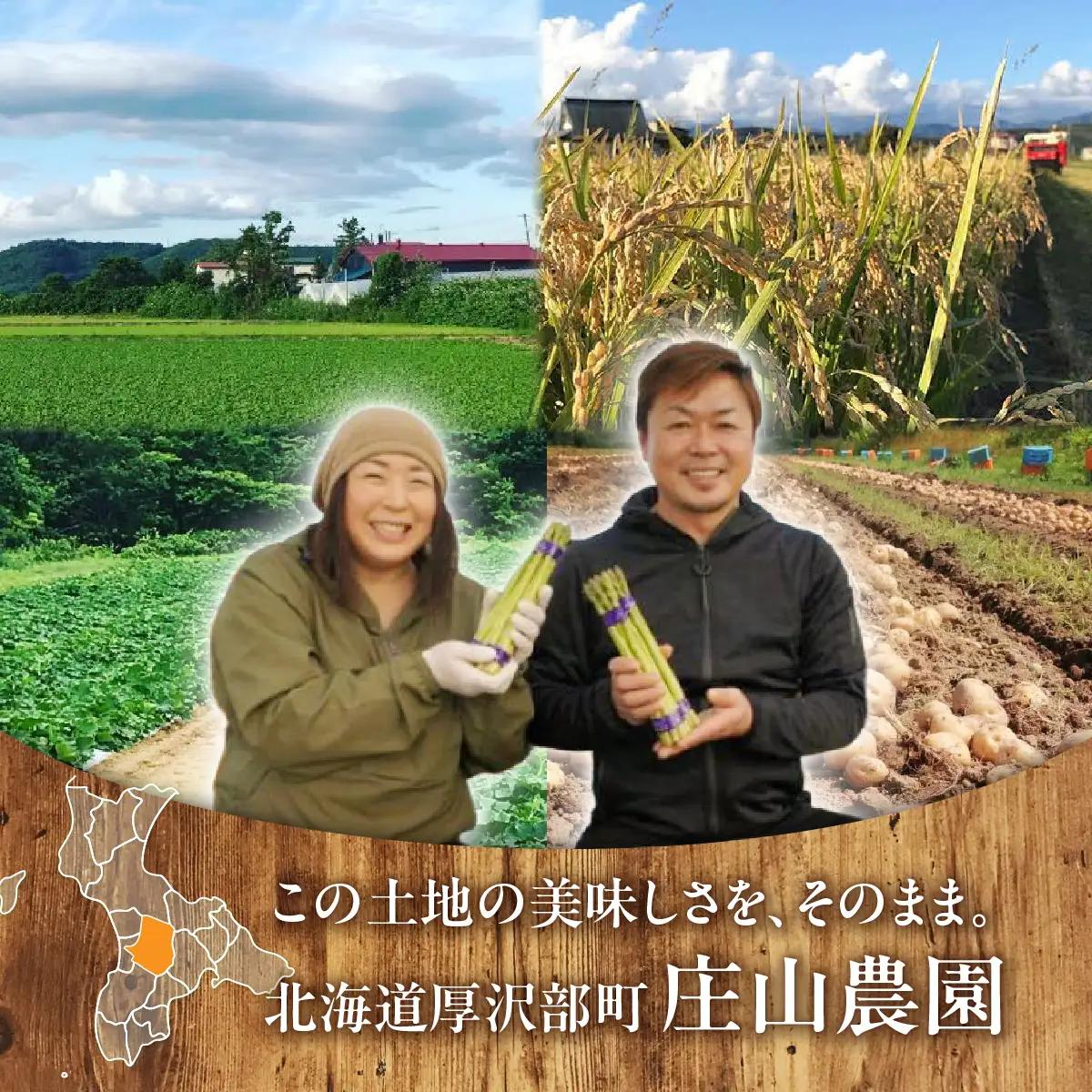 【令和7年産】北海道厚沢部産ゆめぴりか25kg ASG038