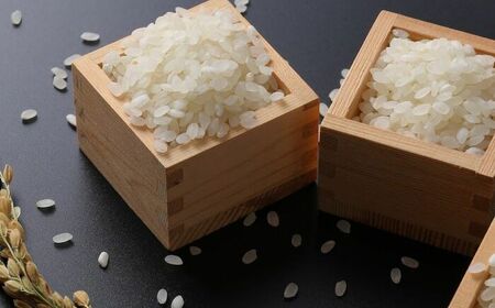【全5回定期便】令和7年産 特別栽培米「さがびより」精米計16.2kg（2.7kg×1袋×5回） / 佐賀県 / 光吉農産 [41AACV007]