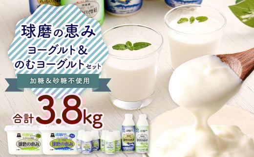 球磨の恵み ヨーグルト 2パック & ドリンクヨーグルト 8本 セット 乳製品 生乳 乳飲料 朝食 おやつ のむヨーグルト 冷蔵 相良村