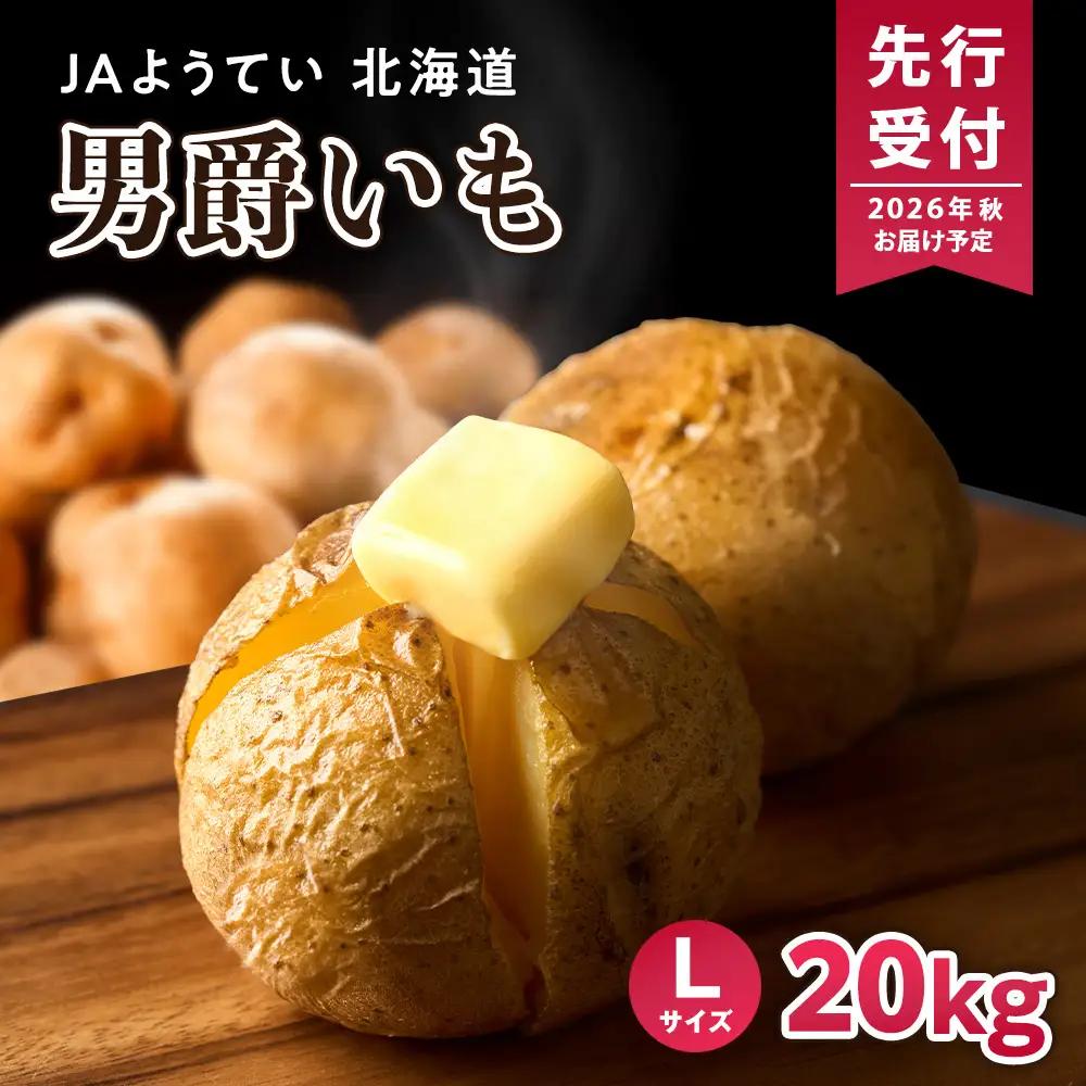 【2026年秋発送 先行予約】じゃがいも 馬鈴薯（男爵）Ｌサイズ　20kｇ＜JAようてい＞