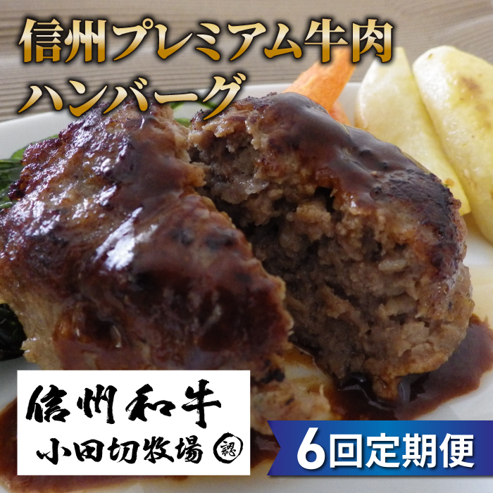 【６回定期便】信州プレミアム牛小田切牧場ハンバーグ（150ｇ）×４個セット