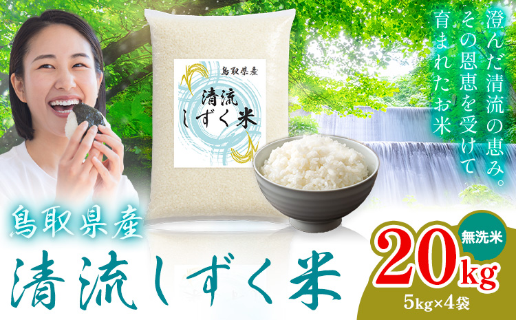 鳥取 ふるさと 無洗米 20kg 清流しずく米《7-14営業日以内に出荷(土日祝除く)》鳥取県 八頭町 米 お米 ご飯 八頭 ふるさと無洗米 生活応援 ブレンド米 複数原料米 訳あり 小分け kome ご飯