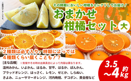 ＜西予の美味しい柑橘セレクト（ご家庭用）／おまかせ柑橘セット（大）約3.5～4kg＞ 果物 くだもの フルーツ 蜜柑 みかん ミカン 柑橘 ご家庭用 温州みかん 食べて応援 国産 愛媛県産 特産品 西