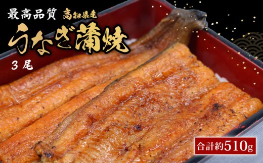 うなぎ蒲焼 約170g×3尾 高知県産 最高品質 合計約510g たれ 山椒 国産 鰻 かば焼 土佐焼  うな丼 うな重 高知県 南国市
