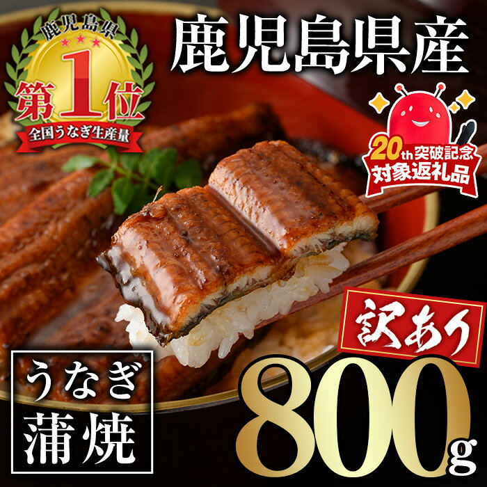 【ふるさと納税】＜訳あり＞無投薬！鹿児島県産うなぎ蒲焼セット(計800g・尾数不定) タレ・山椒付き 鰻 うなぎ ウナギ 蒲焼 きざみ ひつまぶし カット カット鰻 鹿児島県産 国産 急速 冷凍【西日本養鰻】