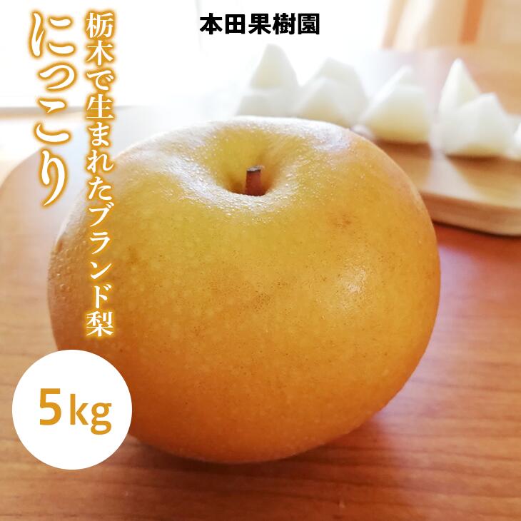 【ふるさと納税】「にっこり」 梨 なし 5kg | 先行予約 数量限定 贈答用 なし 梨 果物 くだもの フルーツ ナシ 旬 にっこり 栃木県 上三川町 本田果樹園 ※2026年10月～発送