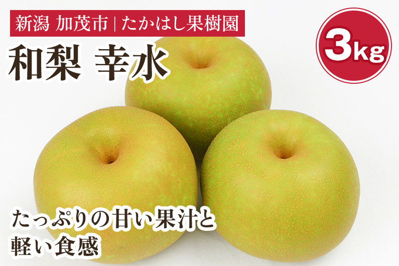 
                  【2026年先行予約】たかはし果樹園 謹製 新潟県産和梨 幸水 約3kg《8月中旬～配送》こうすい 果物 フルーツギフト 秋の味覚 産地直送 加茂市 たかはし果樹園
                