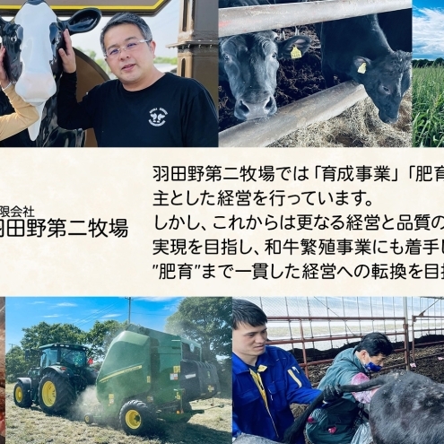 黒牛 ロース すき焼き 500g こだわりの美深黒牛 お肉 牛肉 霜降り スライス 旨み グルメ お取り寄せ ギフト 贈り物 肉のはたの 美深町 北海道_イメージ5