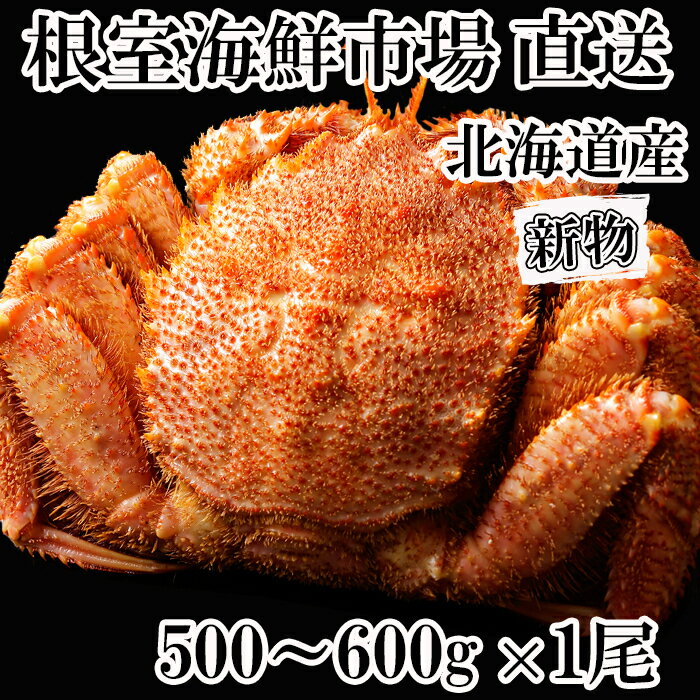 【ふるさと納税】ボイル毛がに 500〜600g×1尾 600〜750g×1尾 約600〜750g(3尾 〜 7尾) 700〜900g×1尾 約700〜900g×4尾 450〜550g×2尾 約900〜1.1kg×4尾 カニ かに 蟹 毛蟹 毛ガニ 北海道 根室市
