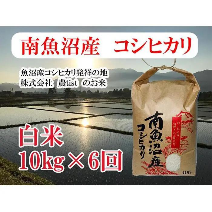 【令和7年】【定期便 南魚沼産】コシヒカリ 白米10kg×6回｜コシヒカリ