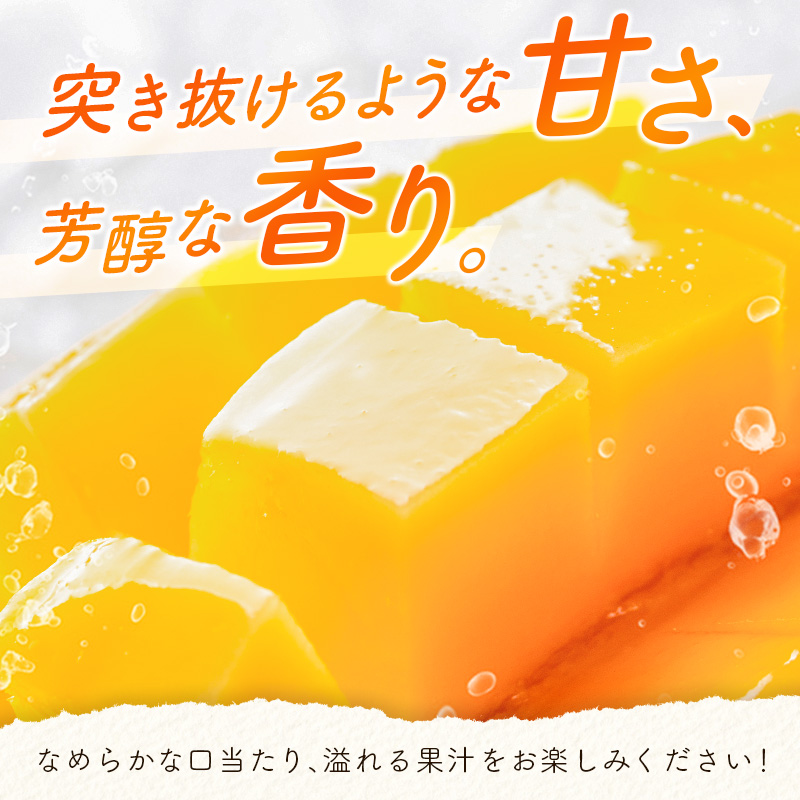 数量限定 宮崎県産 完熟マンゴー＜太陽のタマゴ＞4L×2玉 計1kg以上 ※2027年4月下旬配送開始 化粧箱入 フルーツ くだもの【E169-27】_イメージ3