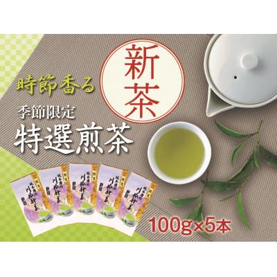 ふるさと納税 川根本町 坂本園の新茶 静岡川根茶　100g×5本【5月中旬〜6月末発送】