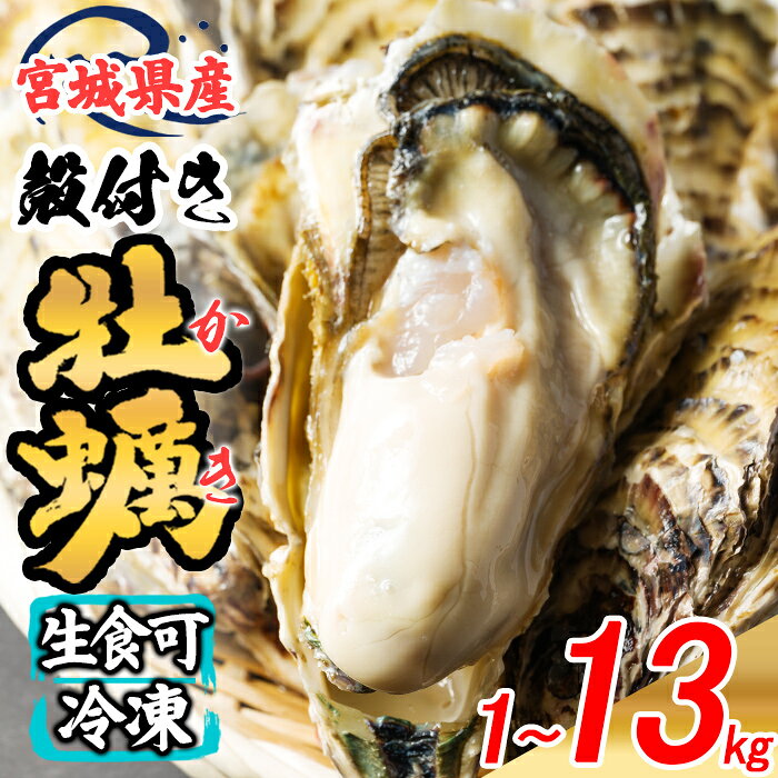 【ふるさと納税】松島牡蠣屋 冷凍牡蠣（生食用）選べる内容量 1～13kg 生牡蠣 宮城県産 牡蛎 牡蠣 カキ オイスター カキフライ 牡蠣鍋 海鮮 国産 魚貝類 急速冷凍【菊地水産合同会社】sh156・sh157・sh158・sh159・sh160