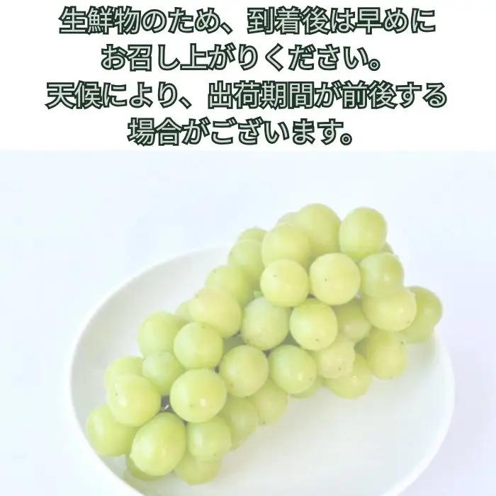 シャインマスカット2kg(3～5房)