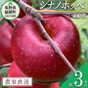 【ふるさと納税】 りんご シナノホッペ 家庭用 3kg ファームトヤ 沖縄県への配送不可 令和6年度収穫分 長野県 飯綱町 〔 信州 果物 フルーツ リンゴ 林檎 長野 12000円 予約 農家直送 〕発送時期：2024年11月上旬～2024年11月下旬 {**}