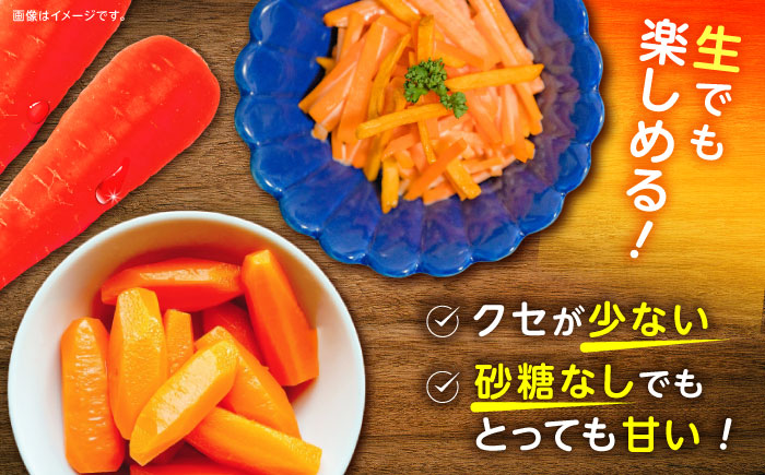 【訳あり】 【甘みと栄養たっぷり！】 真っ赤な人参 「紅天神」 10kg / にんじん ニンジン 人参 やさい 野菜 訳あり 訳アリ わけあり ワケアリ / 諫早市 / 滝商店株式会社 [AHCU00