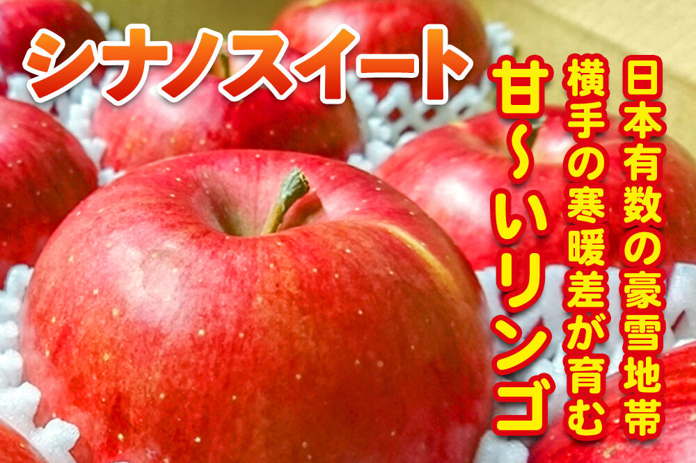 【先行受付 3月頃発送】りんご シナノスイート 約2kg（4～6玉） [先行予約 りんご シナノスイート 林檎 アップル 赤 果実 果物 フルーツ 美味 おいしい]