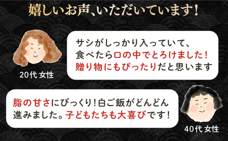 【全3回定期便】【A4～A5ランク】長崎和牛 サーロインステーキ 400g（200g×2枚）《壱岐市》【野中精肉店】 黒毛和牛 牛肉 和牛 赤身 希少部位  69000円 69000 6万円 [JGC