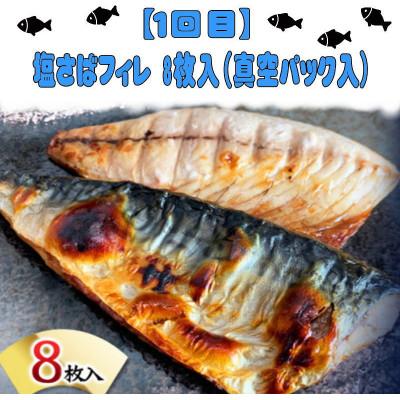 ふるさと納税 北山村 【毎月定期便】魚鶴一押し!人気のお魚集合定期便(さば・銀鮭・うなぎ・海鮮丼)【tkb308】全4回 |  | 01