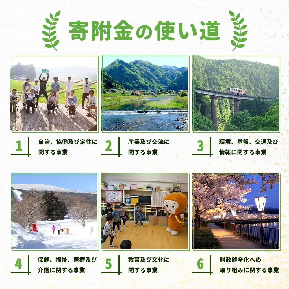 返礼品なしの寄附（寄付金額 300,000円）広島県庄原市の未来の為の応援寄附