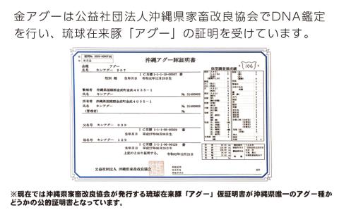 沖縄県産　金アグー　ソーセージ　1000g　100g×10本