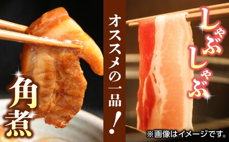 【6回定期便】豚帝 豚バラ ブロック 約1kg【KRAZY MEAT(小田畜産)】[ZCP067]