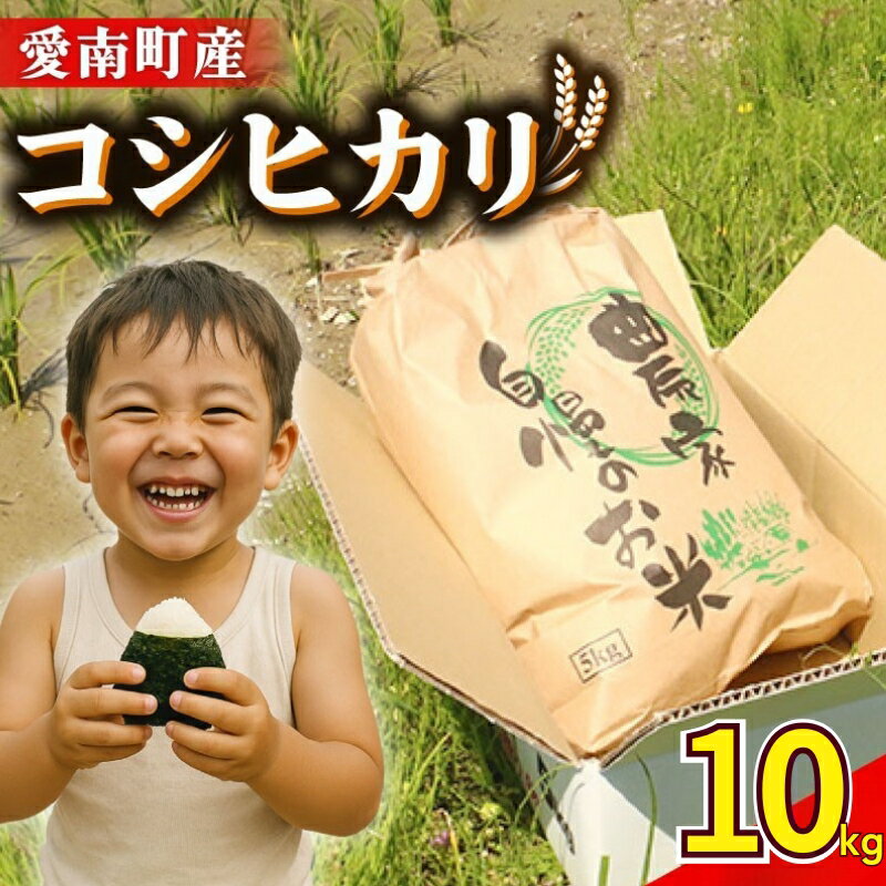 【ふるさと納税】 令和7年産 新米 コシヒカリ 10kg ( 5kg × 2 ) 米 お米 白米 精米 こしひかり 人気 低温 貯蔵庫 産地直送 国産 農家直送 期間限定 数量限定 特産品 令和7年度産 2025年産 大粒 もっちり 粘り 甘み おいしい おにぎり 和家農園 愛南町 愛媛県