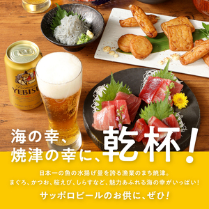 T0046-1606　【定期便6回】エビスプレミアムエール350ml缶×1箱（24本）【定期便】
