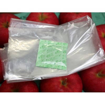 【R6年12月中旬～発送予定】訳あり 青森県産りんご「サンふじ」 約5kg(12～25個)【配送不可地域：離島・沖縄県】