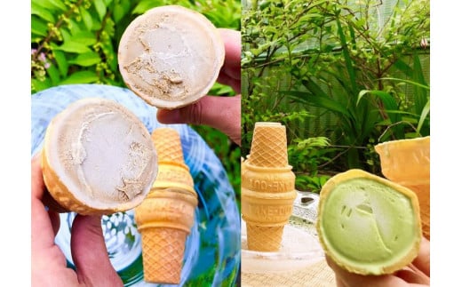 平野屋自家製「抹茶アイス」と「ほうじ茶アイス」のセット【6月～10月のお届け】 冷菓 お菓子 おやつ アイス 抹茶アイス ほうじ茶アイス 自家製 【069_1339】