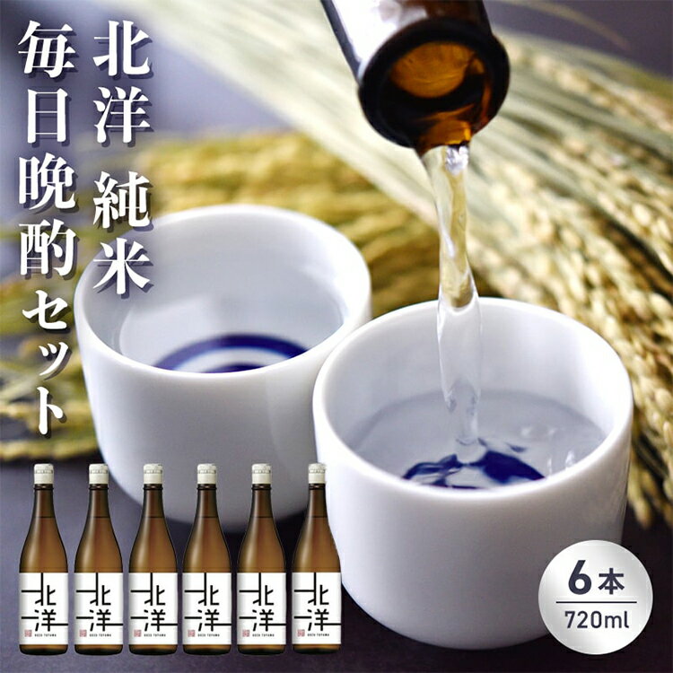 【ふるさと納税】【日本酒】毎日純米晩酌セット720ml　晩酌 贈答 お酒 魚津酒造　【 アルコール 米 味わい 香り旨み 醸造 低精白 毎日 】