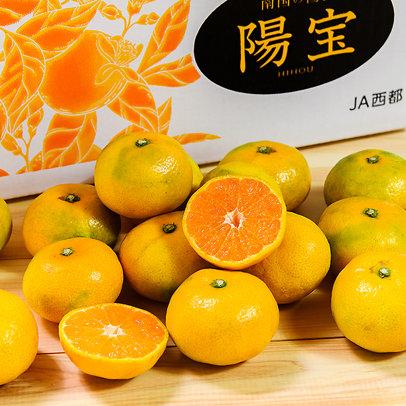 【糖度12度以上】みかん「南国の陽蜜・陽宝」5kg　宮崎県西都産【先行予約】＜1.5-169＞