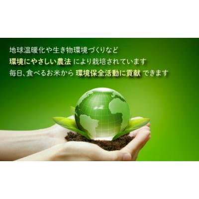 ふるさと納税 大野市 【令和7年産】【6ヶ月定期便】こしひかり 10kg × 6回 計60kg【玄米】「特別栽培米」 |  | 01