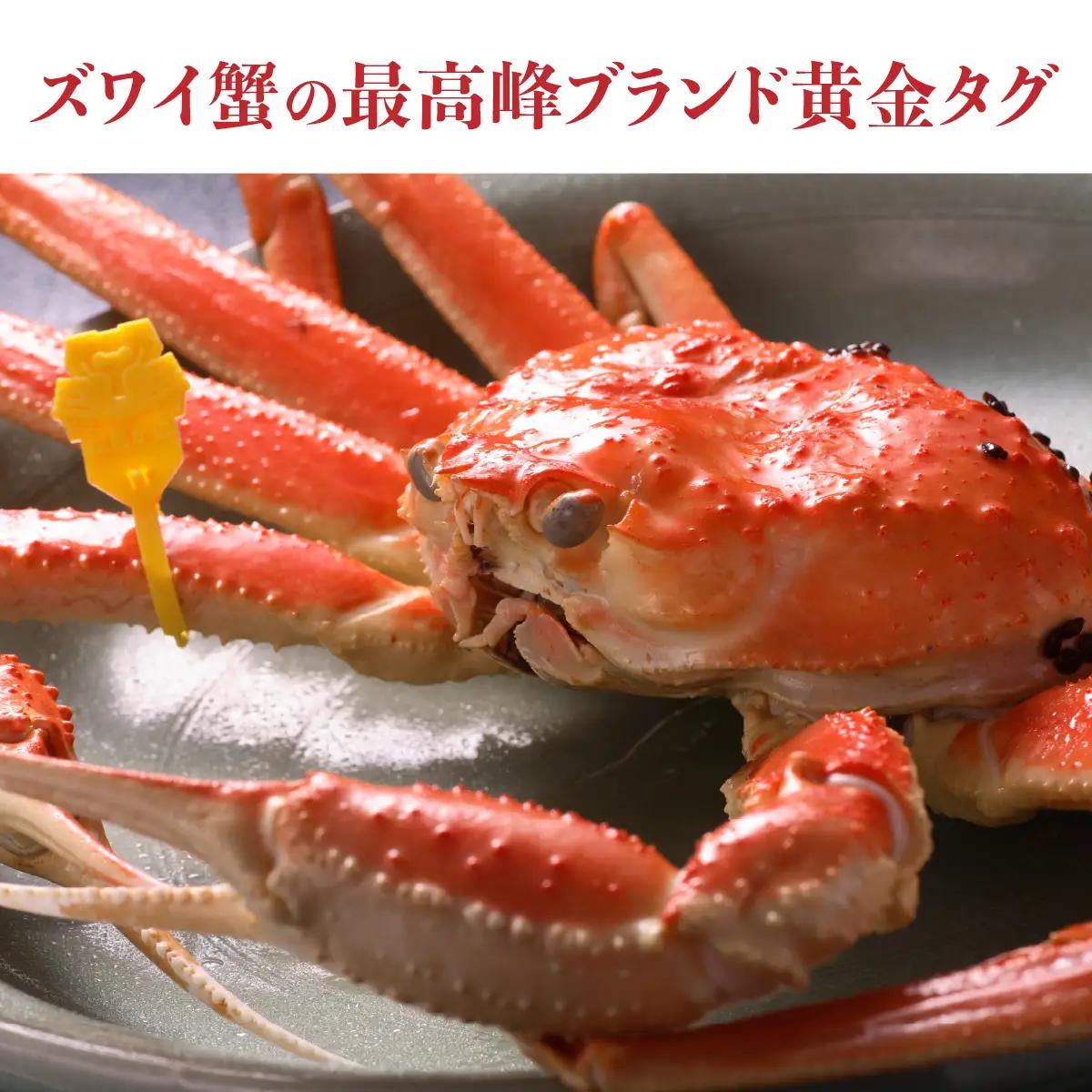 【先行予約】【蟹問屋 越前田村屋 究極の逸品】越前がに （ズワイ） 0.6-0.7kg 1杯セイコがに甲羅盛 3個セット [H-029018] / せいこがに