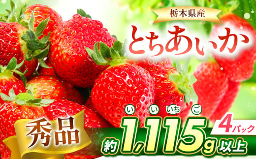 【チョイス限定】【先行予約】とちあいか 秀品 約1115g以上（4P） | いちご とちあいか 新鮮 甘い 食べ比べ 数量 限定 美味しい 果物 共通返礼品 フルーツ デザート 栃木県 那珂川町 送料無料