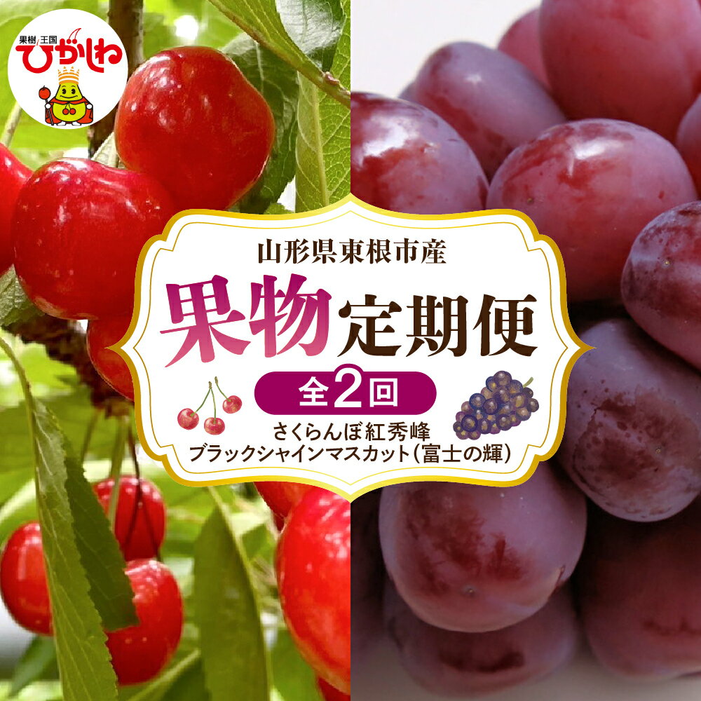 【ふるさと納税】［ 定期便 全2回 ］ 2026年 先行予約 果物定期便 ( さくらんぼ ブラックシャインマスカット ) 紅秀峰 サクランボ 富士の輝 ぶどう マスカット フルーツ 果物 くだもの お取り寄せ グルメ ご当地 特産 産地 直送 送料無料 人気 東北 山形 東根市