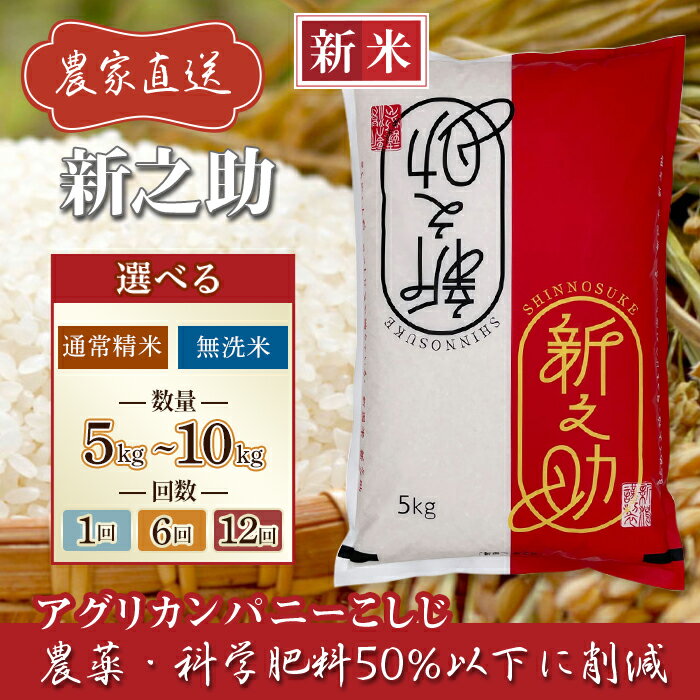 【ふるさと納税】新米予約 令和7年産 米 無洗米 定期便 5kg 10kg 新潟 新之助 精米 白米 お米 選べる 1回 6回 12回 6ヶ月 12ヶ月 新潟県長岡産 新之助（アグリカンパニーこしじ）