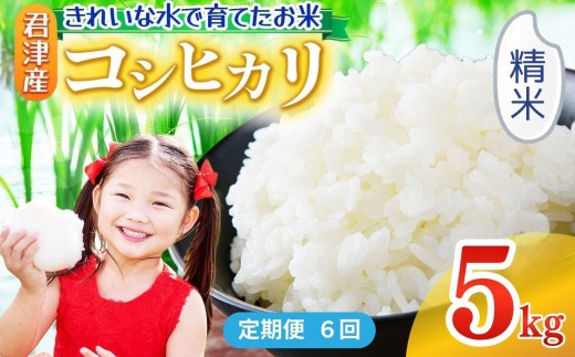 【 定期便 6回 】精米 令和7年産 コシヒカリ 5kg きれいな水で育てたお米 | 保坂農場 白米 ご飯 おにぎり 名水 おいしい水 ちばエコ農産物 君津市産 イチオシ 千葉 君津市 きみつ 房総