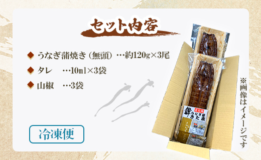 【7日程度で発送】うなぎ蒲焼き 3尾(合計約360g)(無頭) - 送料無料 鰻 ウナギ 魚介 晩ご飯 夕飯 おかず おつまみ スタミナ 敬老の日 ギフト 贈答 贈り物 丑の日 うなぎ屋きた本 高知県