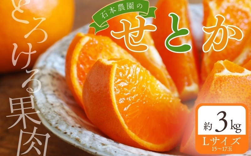 【先行予約】Lサイズ 15～17玉 石本農園のハウスせとか 約3kg 【2027年2月中旬～下旬に順次発送予定】【mis022】