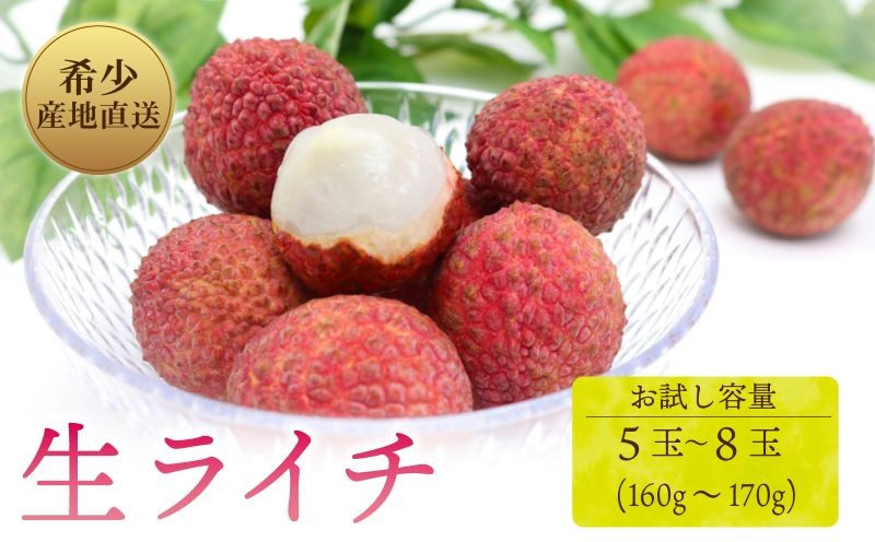 
            【令和8年6月上旬頃より発送】 先行予約 お試しパック 生ライチ 国産 室戸海洋深層水使用 ライチ 果物 くだもの 季節限定 期間限定 数量限定 旬 限定 国産 贈答 ギフト 贈り物 プレゼント 高知県 室戸市
          