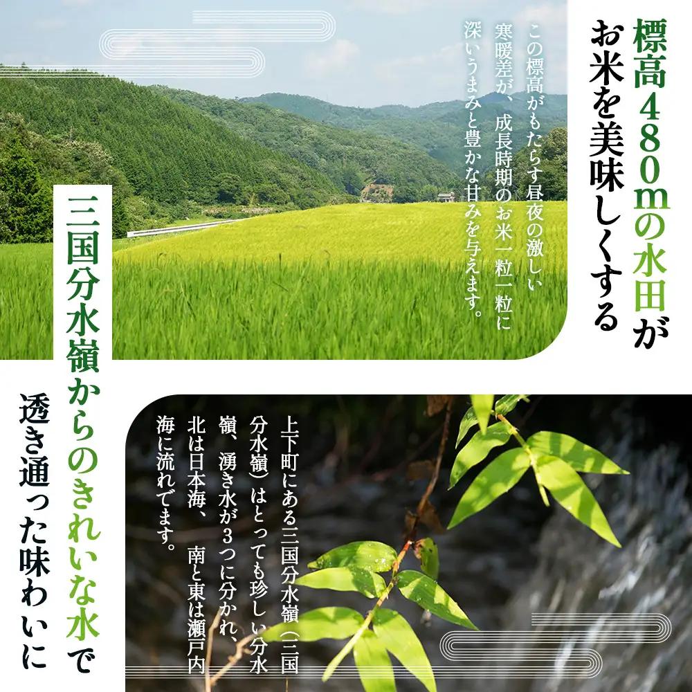 四八米 こしひかり 酵素プレミアム 2合×5個入 1.5kg ／ お米 米 こめ 精米 白米 1.5キロ 国産 産地直送 産直 お取り寄せ 希少 最高品質 最上級 甘み 旨み 人気 おすすめ 広島県 