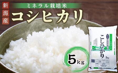 特別栽培米コシヒカリ（ミネラル栽培）5kg | 米　お米　新潟　新潟県 特別栽培米　こしひかり