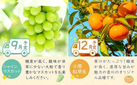 坂出のいいとこどり定期便 【７月・８月・９月・12月・１月・２月】 全6回