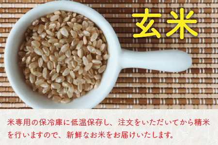 【先行予約】【令和8年産・新米】【6ヶ月定期便】 コシヒカリ10kg×6回　合計60kg（玄米）【2026年10月より順次発送予定】 [K-11304_02]
